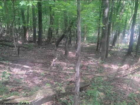 46 Pounds Hollow Road Morgantown WV 26508
