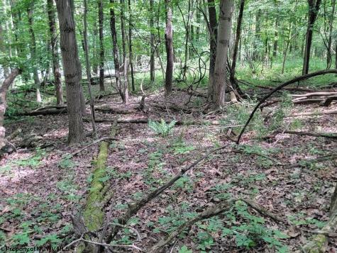 46 Pounds Hollow Road Morgantown WV 26508