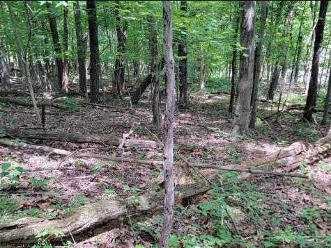 46 Pounds Hollow Road Morgantown WV 26508