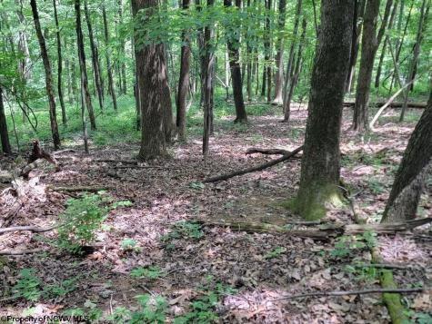46 Pounds Hollow Road Morgantown WV 26508