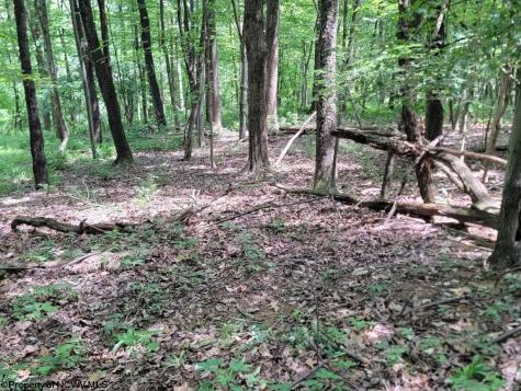 46 Pounds Hollow Road Morgantown WV 26508