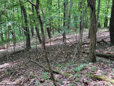 46 Pounds Hollow Road Morgantown WV 26508