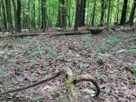 46 Pounds Hollow Road Morgantown WV 26508