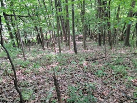 46 Pounds Hollow Road Morgantown WV 26508