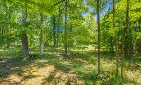 308 Diamond Cove Road Bridgeport WV 26330