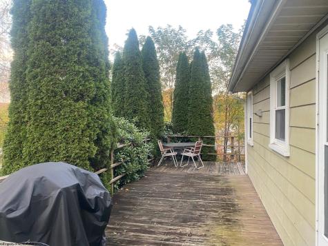 152 Spruce Street Parsons WV 26287