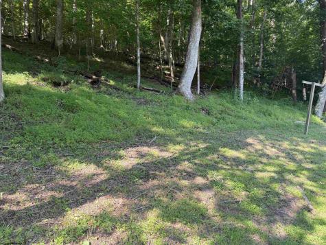 1063 Buckhannon River Road Volga WV 26238