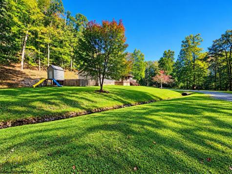 90 Gordon Road Dailey WV 26253