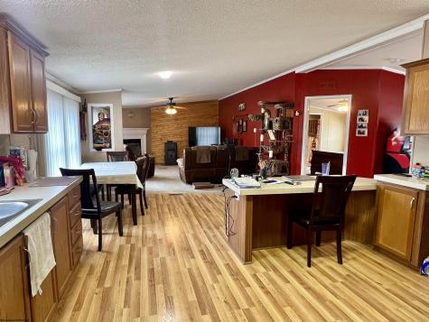 132 Douglas Way Belington WV 26250