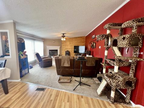 132 Douglas Way Belington WV 26250
