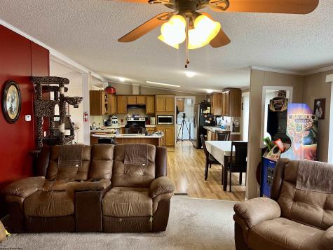 132 Douglas Way Belington WV 26250