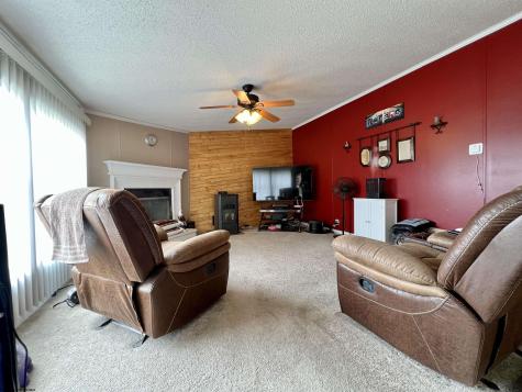 132 Douglas Way Belington WV 26250
