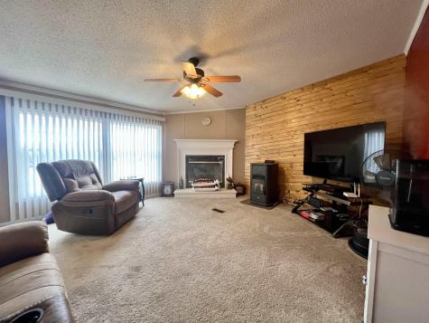 132 Douglas Way Belington WV 26250