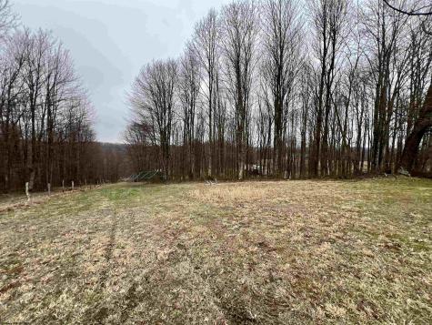 132 Douglas Way Belington WV 26250