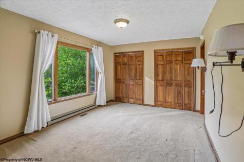 551 Sand Run Road Davis WV 26260