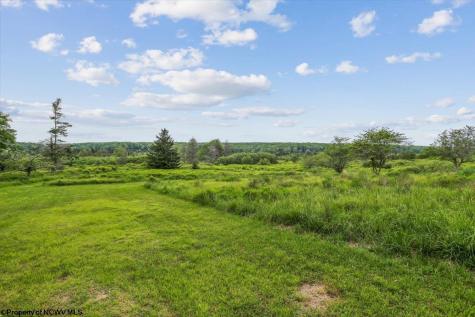 551 Sand Run Road Davis WV 26260