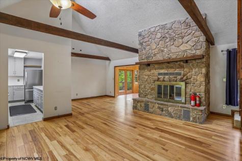 551 Sand Run Road Davis WV 26260