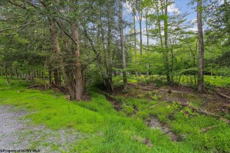 551 Sand Run Road Davis WV 26260