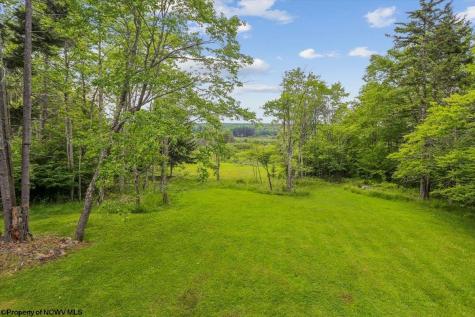 551 Sand Run Road Davis WV 26260