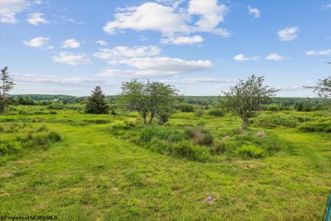 551 Sand Run Road Davis WV 26260