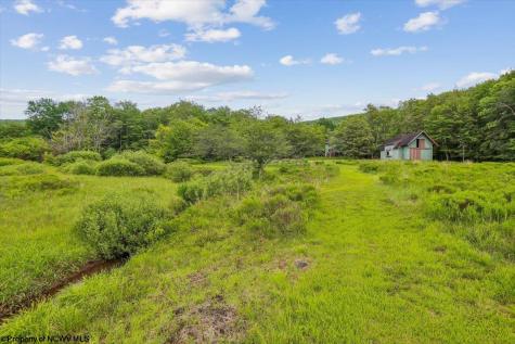 551 Sand Run Road Davis WV 26260