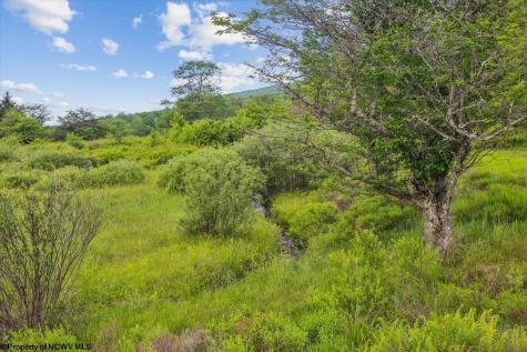 551 Sand Run Road Davis WV 26260