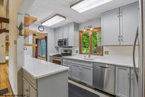 551 Sand Run Road Davis WV 26260