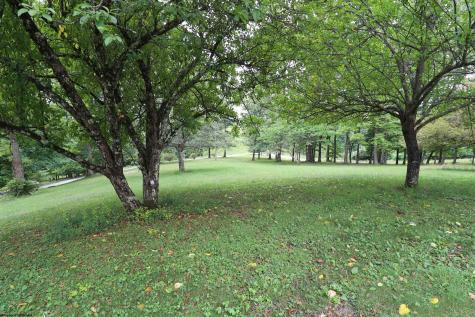 523 Ebberman Creek Elkins WV 26241