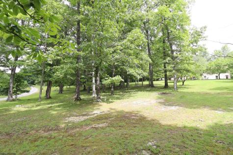 523 Ebberman Creek Elkins WV 26241