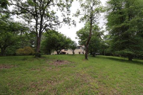 523 Ebberman Creek Elkins WV 26241