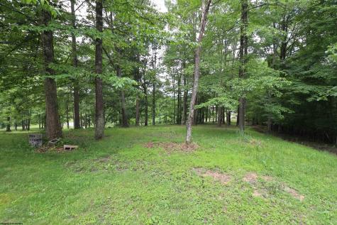 523 Ebberman Creek Elkins WV 26241