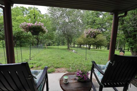 523 Ebberman Creek Elkins WV 26241