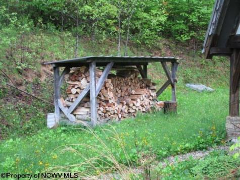 1303 Pheasant Mountain Road Kerens WV 26276