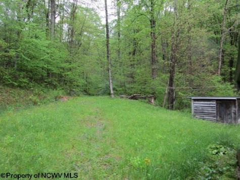 1303 Pheasant Mountain Road Kerens WV 26276