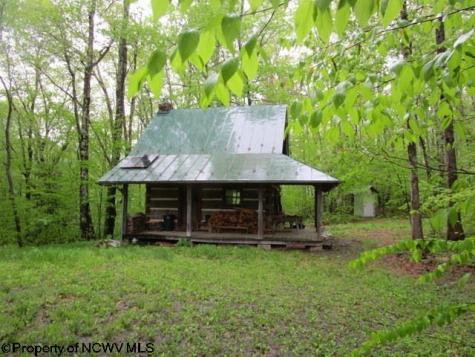 1303 Pheasant Mountain Road Kerens WV 26276