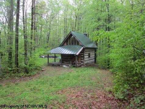 1303 Pheasant Mountain Road Kerens WV 26276
