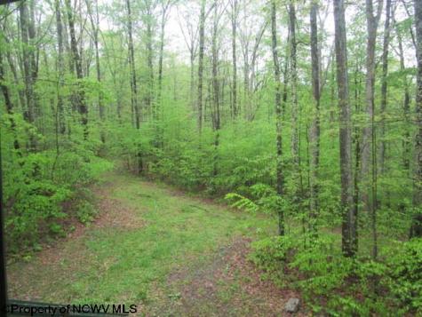 1303 Pheasant Mountain Road Kerens WV 26276