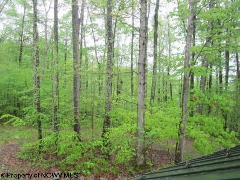 1303 Pheasant Mountain Road Kerens WV 26276