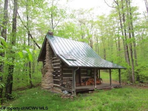 1303 Pheasant Mountain Road Kerens WV 26276