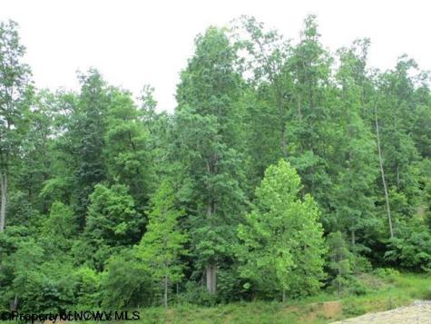 1303 Pheasant Mountain Road Kerens WV 26276
