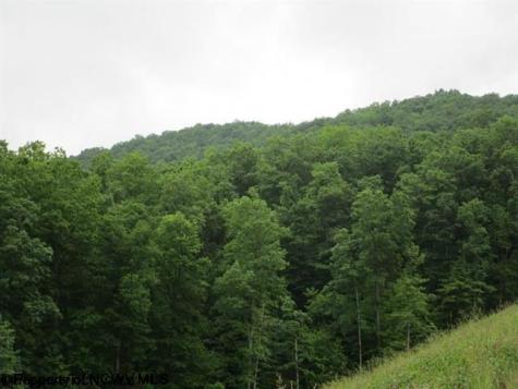 1303 Pheasant Mountain Road Kerens WV 26276