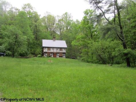 1303 Pheasant Mountain Road Kerens WV 26276
