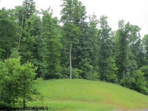 1303 Pheasant Mountain Road Kerens WV 26276