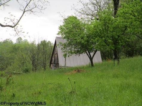 1303 Pheasant Mountain Road Kerens WV 26276