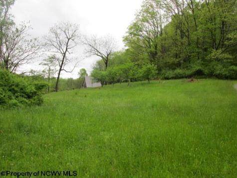 1303 Pheasant Mountain Road Kerens WV 26276