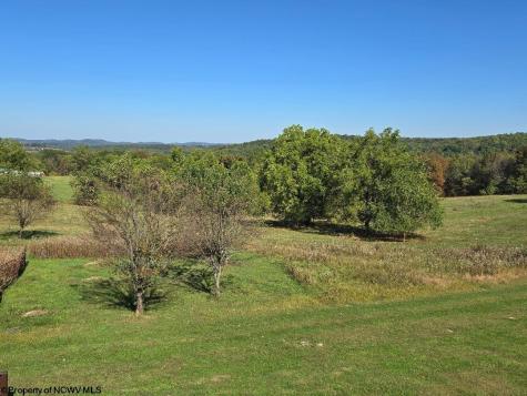 1816 Mcdermott Ridge Road Buckhannon WV 26201