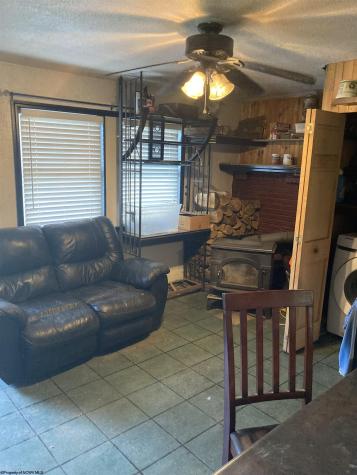 61 Carter Hill Drive French Creek WV 26218-7080
