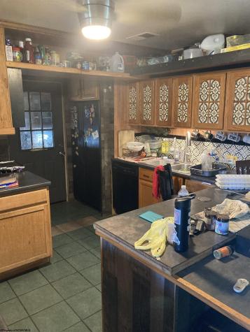 61 Carter Hill Drive French Creek WV 26218-7080