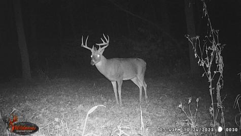 3874 Barkers Ridge Road Sutton WV 26601