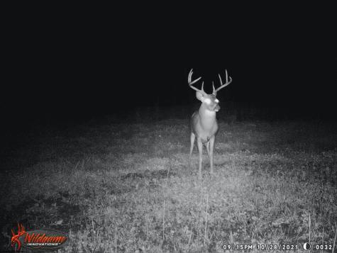 3874 Barkers Ridge Road Sutton WV 26601